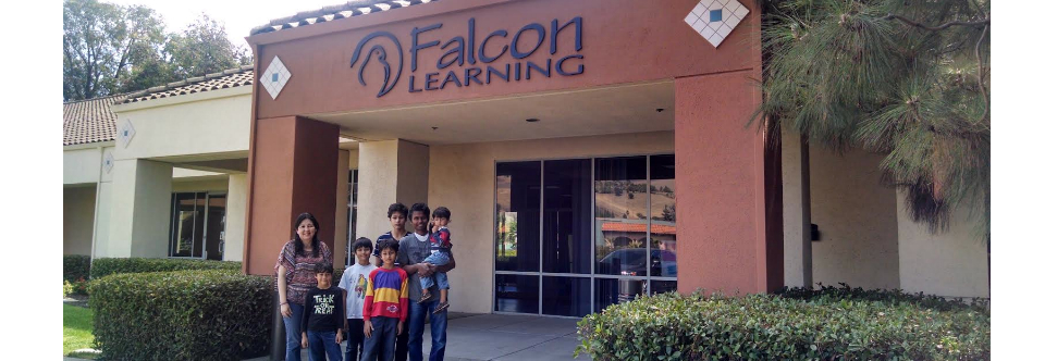 Falcon Learning